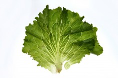 7142