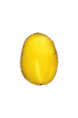 7216