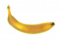 7309