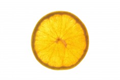 7337