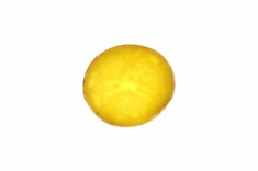 7358
